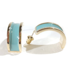 Load image into Gallery viewer, Earrings
